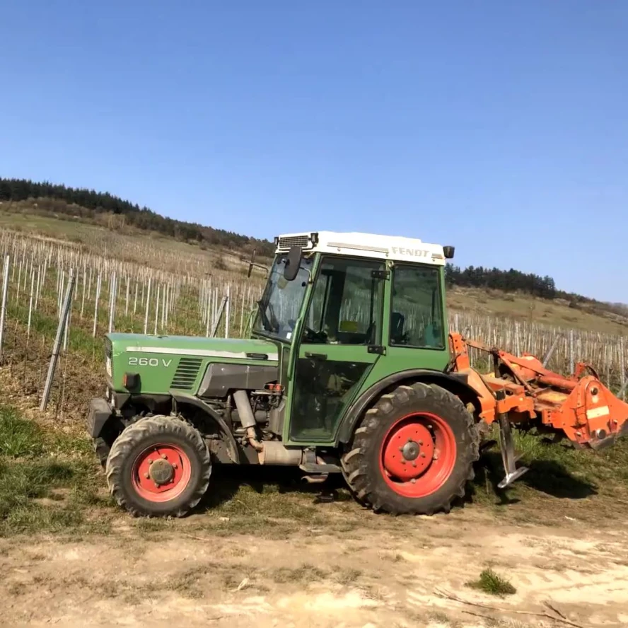 Arbeiten im Weinberg
